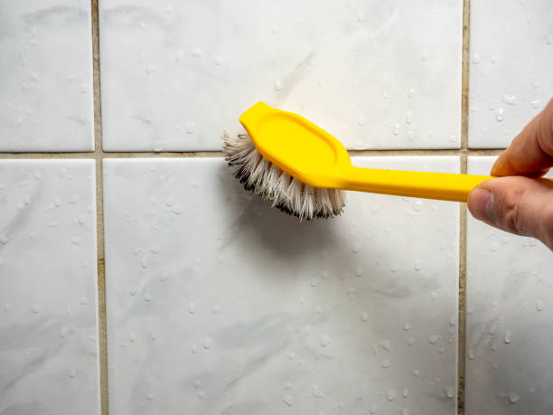  Porterville, CA Mold Removal Pros