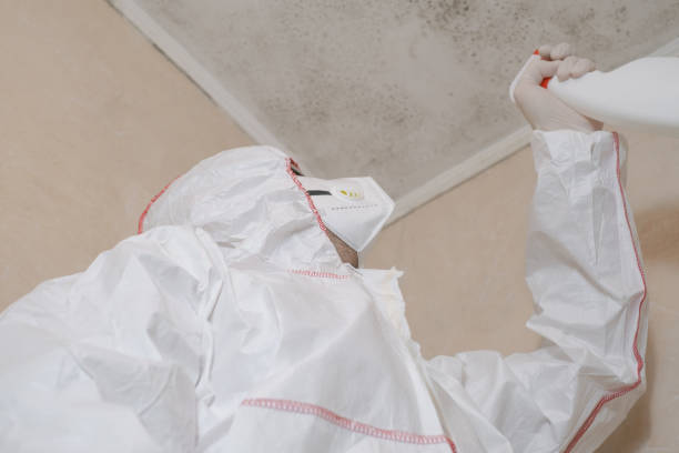 Best Mold Testing and Inspection Services in Porterville, CA