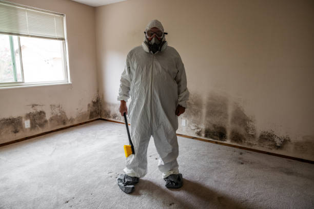Best DIY Mold Remediation Support Services in Porterville, CA